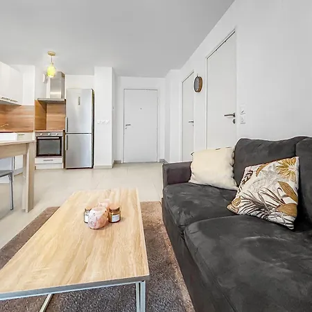 Appartement Cosy Equipe - Sejour Ideal A Nice